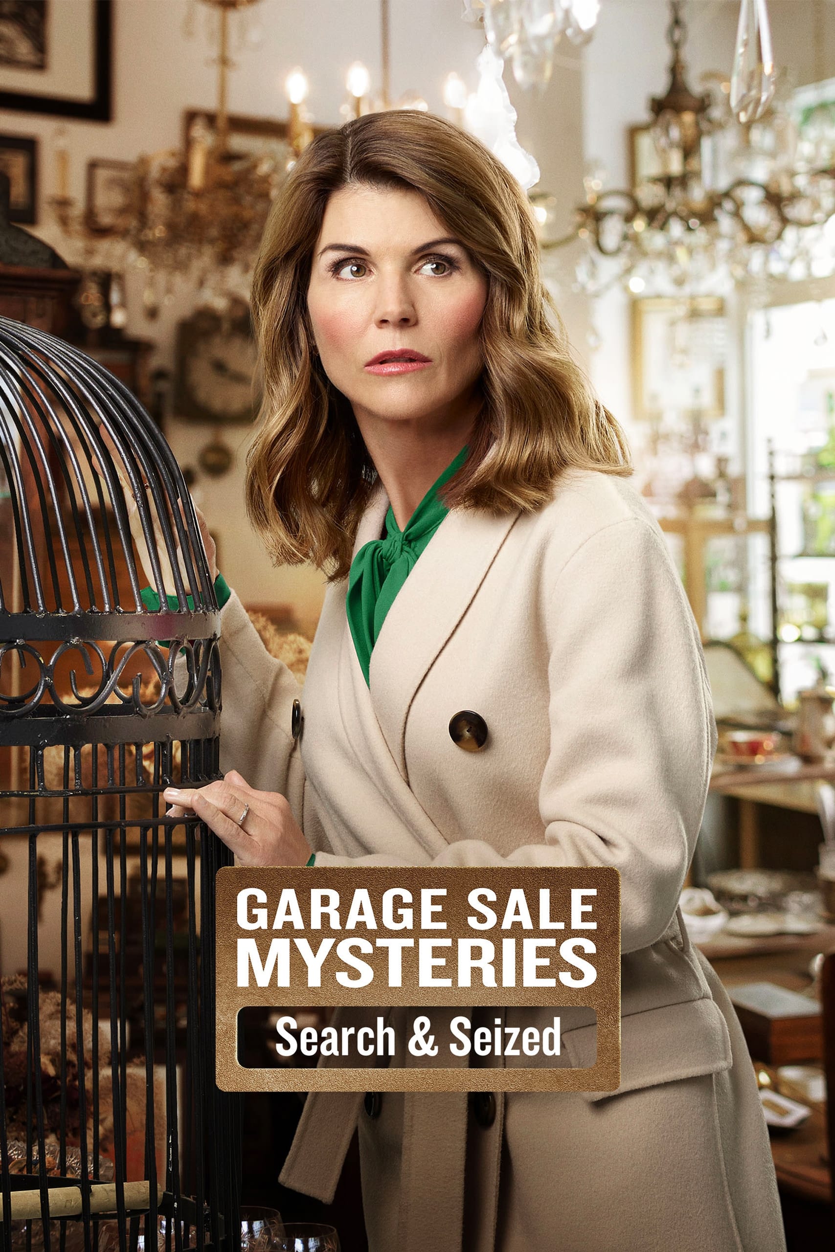 Постер Garage Sale Mysteries: Searched & Seized